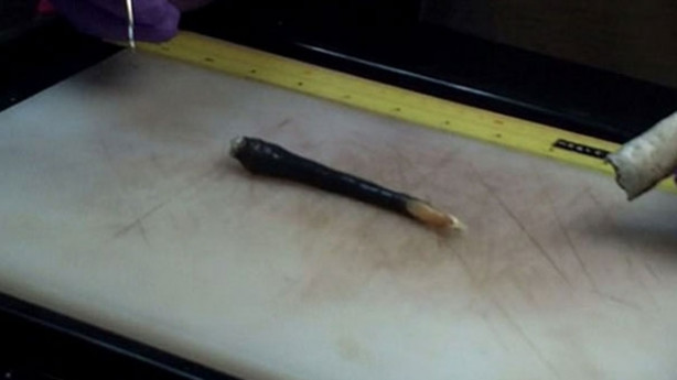 Foto - İlk kez canlı olarak yakalandı! İnanılmaz keşif!