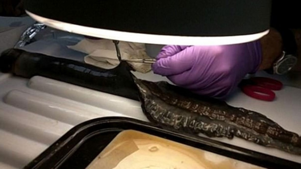 Foto - İlk kez canlı olarak yakalandı! İnanılmaz keşif!