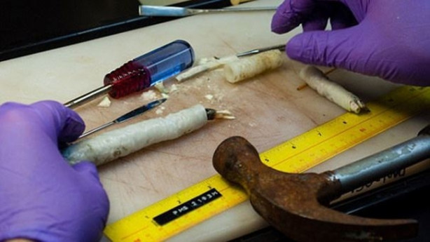 Foto - İlk kez canlı olarak yakalandı! İnanılmaz keşif!