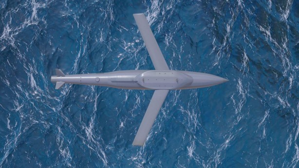 Foto - İlk kez çıkıyor! Düşmanın elini kolunu bağlayan silah