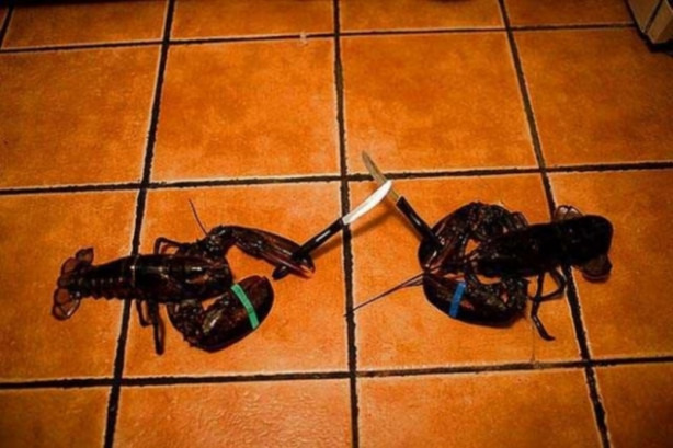 Foto - İlk kez duyacağınız bilimsel gerçekler