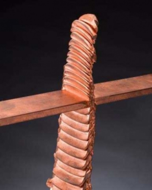 Foto - İlk kez duyacağınız bilimsel gerçekler