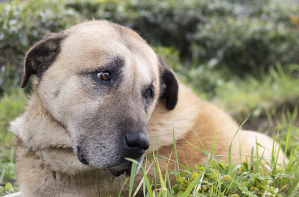 Foto - İlk kez duyacaksınız! Türkiye hakkında az bilinen bilgiler