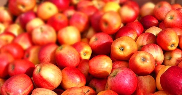 Foto - İlk kez duyacaksınız! Yiyecekler hakkında ilginç bilgiler