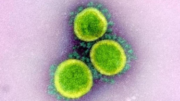 Foto - İlk kez görüntülendi! Korona neden ağrı yapıyor