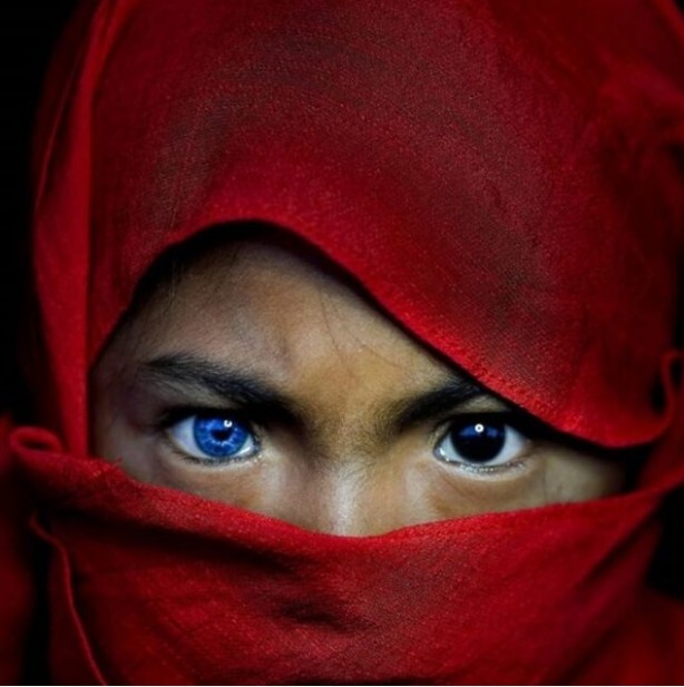 Foto - İlk kez görüntülendiler! Bilim insanları bunların peşinde