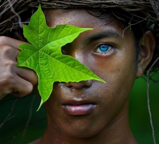 Foto - İlk kez görüntülendiler! Bilim insanları bunların peşinde