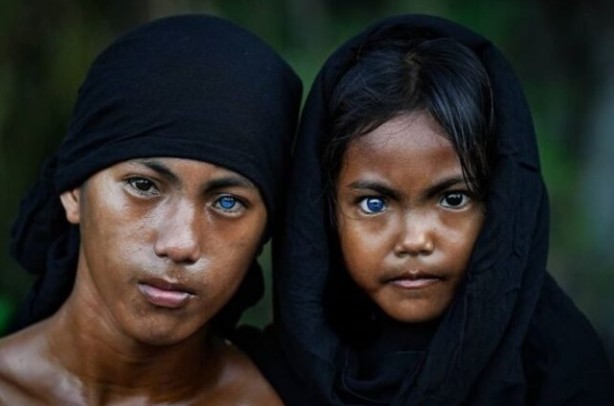 Foto - İlk kez görüntülendiler! Bilim insanları bunların peşinde