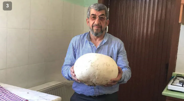 Foto - İlk kez ortaya çıktı, köylüler buldu! Kaya sandılar, kesip parçaladılar