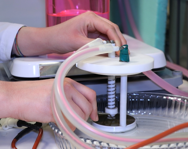 Foto - İlk kez Pirireis'te denendi: Diğer ordular sırada