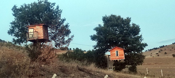Foto - İlk kez rastlandı! Herkes Karadeniz sanıyor ama bakın neresi