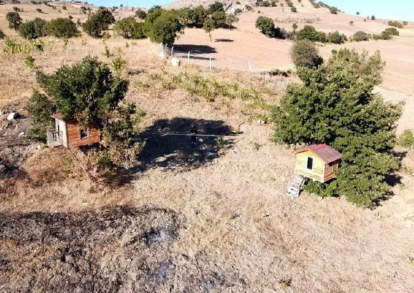 İlk kez rastlandı! Herkes Karadeniz sanıyor ama bakın neresi