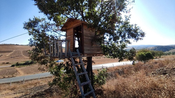 Foto - İlk kez rastlandı! Herkes Karadeniz sanıyor ama bakın neresi