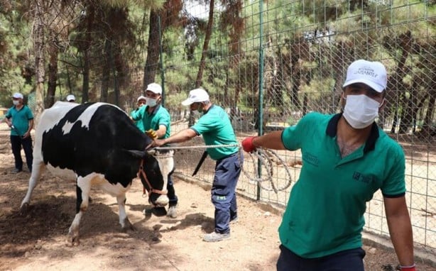 Foto - İlk kez yayınlandı! Bayramda bu hatayı sakın yapmayın