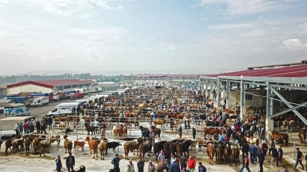 Foto - İlk kez yayınlandı! Bayramda bu hatayı sakın yapmayın