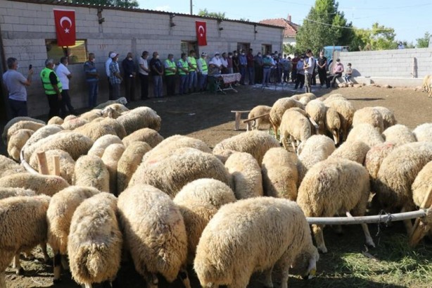 Foto - İlk kez yayınlandı! Bayramda bu hatayı sakın yapmayın