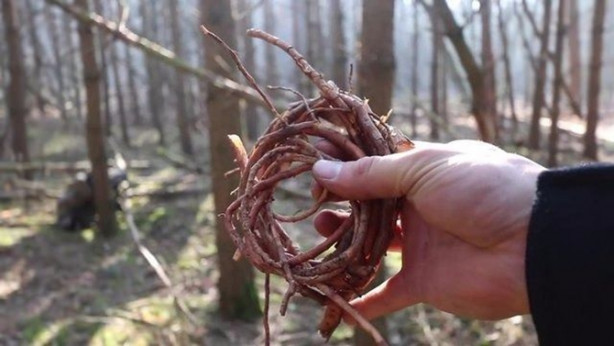 Foto - İlkel malzemelerle barınak inşa etti! Bakın nasıl!