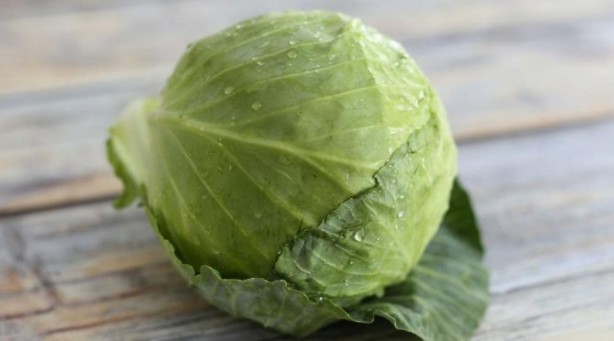 Foto - İltihab ve ağrıyı kesiyor! Lahana yaprağıyla gelen şifa