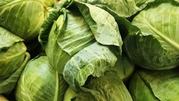 Foto - İltihab ve ağrıyı kesiyor! Lahana yaprağıyla gelen şifa