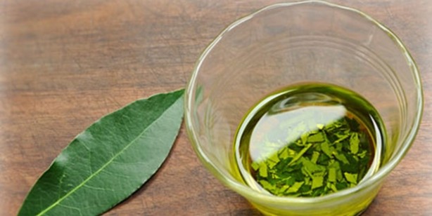 Foto - İltihap önleyici defne yaprağının sağlığa 10 faydası