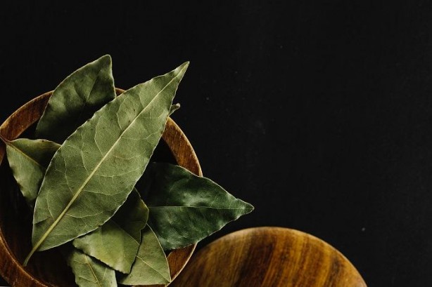 Foto - İltihap önleyici defne yaprağının sağlığa 10 faydası