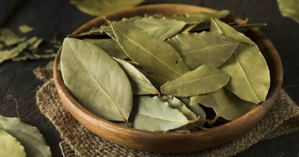 Foto - İltihap önleyici defne yaprağının sağlığa 10 faydası