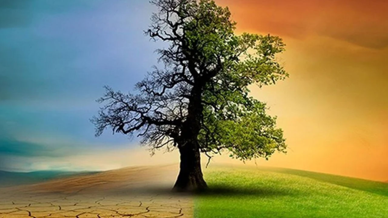 Foto - İmamlar ayağa kalktı: Eğer bir daha gelirse sokaklara çıkarız