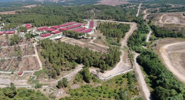 Foto - İmamoğlu, hayvanları yine umursamadı! Poşetlere konularak yakıldı