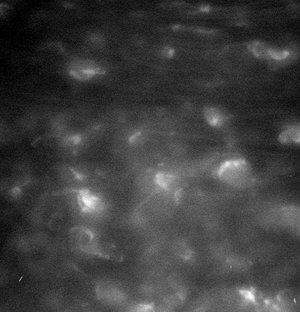 Foto - 'İmkansız'ı başardı! İlk fotoğraflar geldi