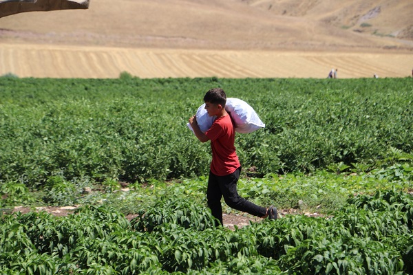 Foto - İmkansızlıktan okuyamadı, 60 kişiye ekmek kapısı oldu