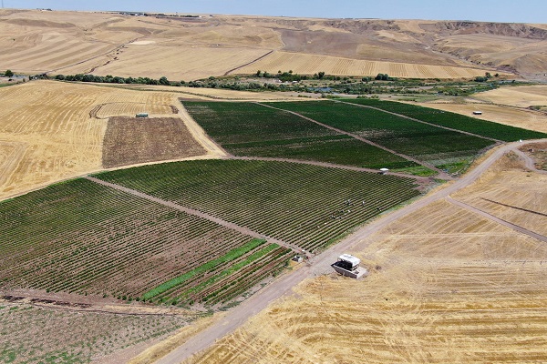 Foto - İmkansızlıktan okuyamadı, 60 kişiye ekmek kapısı oldu