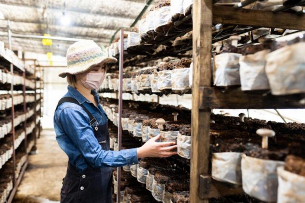 Foto - İmparatorların yiyeceği olarak biliniyor! Bunu yiyeni bakın neler bekliyor