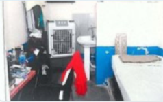 Foto - İmran Han'ın hapishane fotoğrafları sızdırıldı! Türkiye detayı tam anlamıyla bomba, herkes bunu konuşuyor