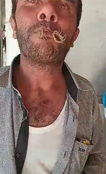 Foto - İnanılır gibi değil! Bakın bu adam kendini neden akreplere sokturdu