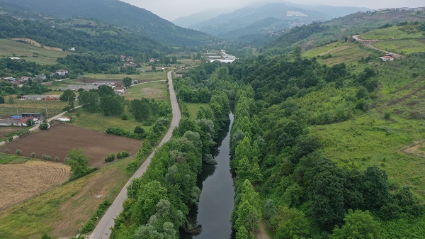 Foto - İnanılır gibi değil! Tıbbi atıkları bakın nereye attılar