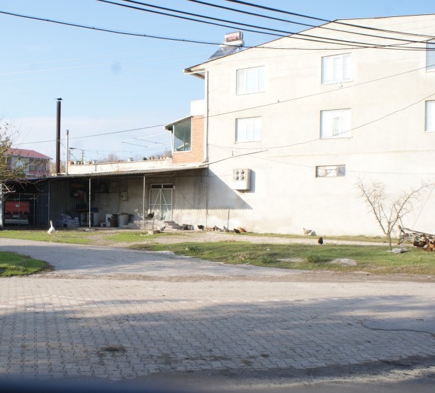 Foto - İnanılmaz ama gerçek! Burada ezan okununca bakın ne oluyor