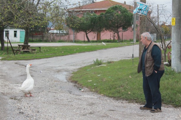 Foto - İnanılmaz ama gerçek! Burada ezan okununca bakın ne oluyor