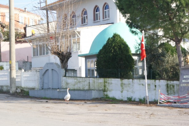 İnanılmaz ama gerçek! Burada ezan okununca bakın ne oluyor