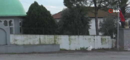 Foto - İnanılmaz ama gerçek! Burada ezan okununca bakın ne oluyor