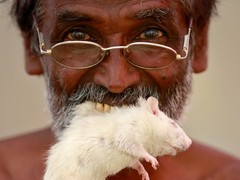 İnanılmaz gerçek: Fare yiyen insanlar