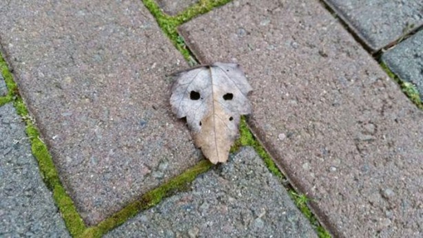 Foto - İnanılmaz görüntü yanılsamaları