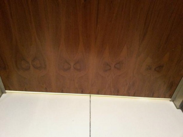 Foto - İnanılmaz görüntü yanılsamaları