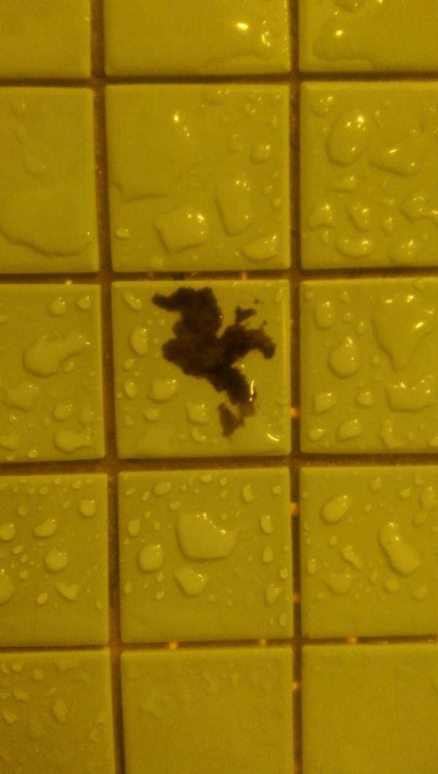 Foto - İnanılmaz görüntü yanılsamaları