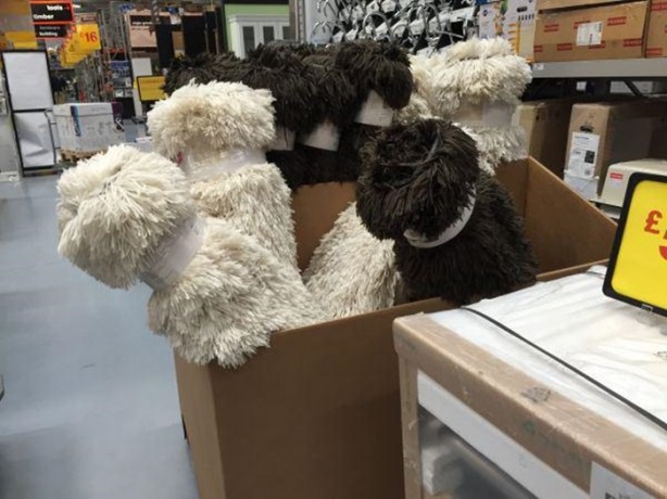 Foto - İnanılmaz görüntü yanılsamaları