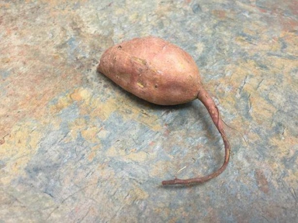 Foto - İnanılmaz görüntü yanılsamaları