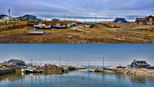 Foto - İnanılmaz görüntüler