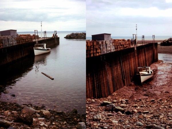 Foto - İnanılmaz görüntüler