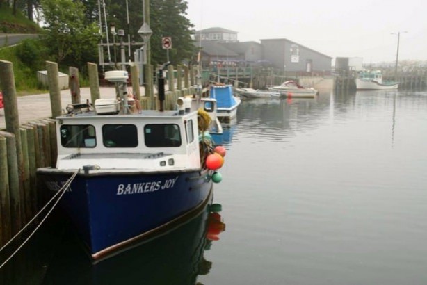 Foto - İnanılmaz görüntüler