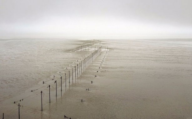 Foto - İnanılmaz görüntüler