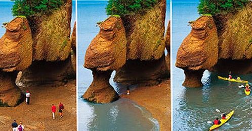 Foto - İnanılmaz görüntüler